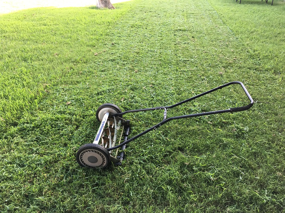 L’entretien du jardin